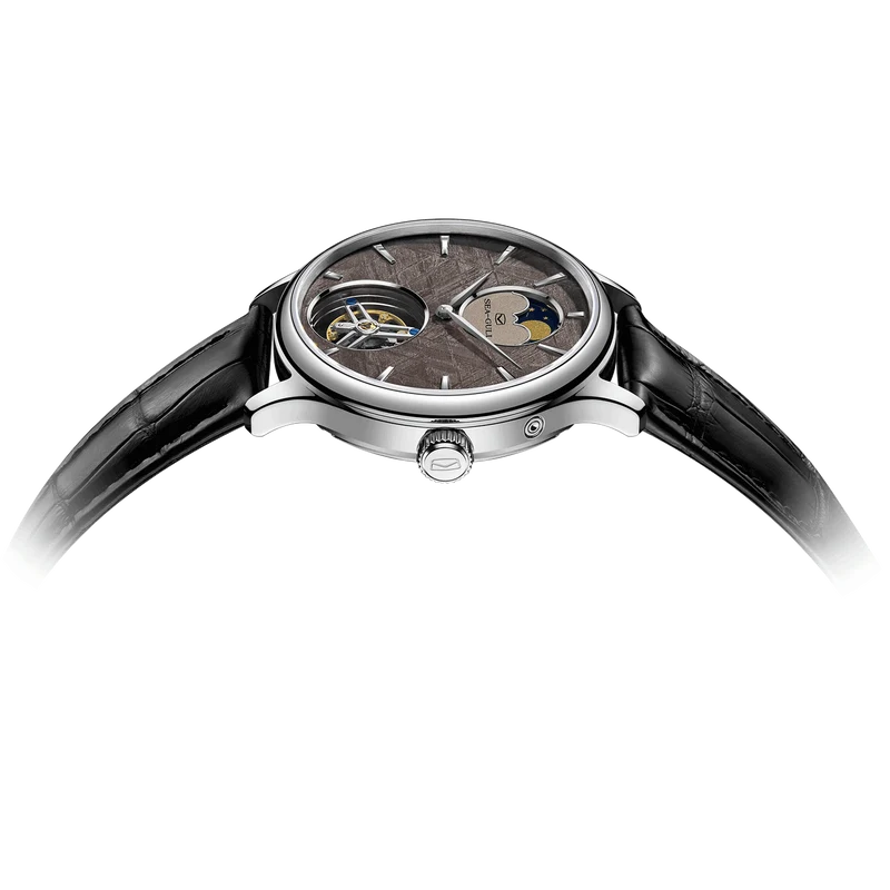 Artisan Heritage Series Meteorite Dial Moon Phase Coaxial Tourbillon Watch 42mm