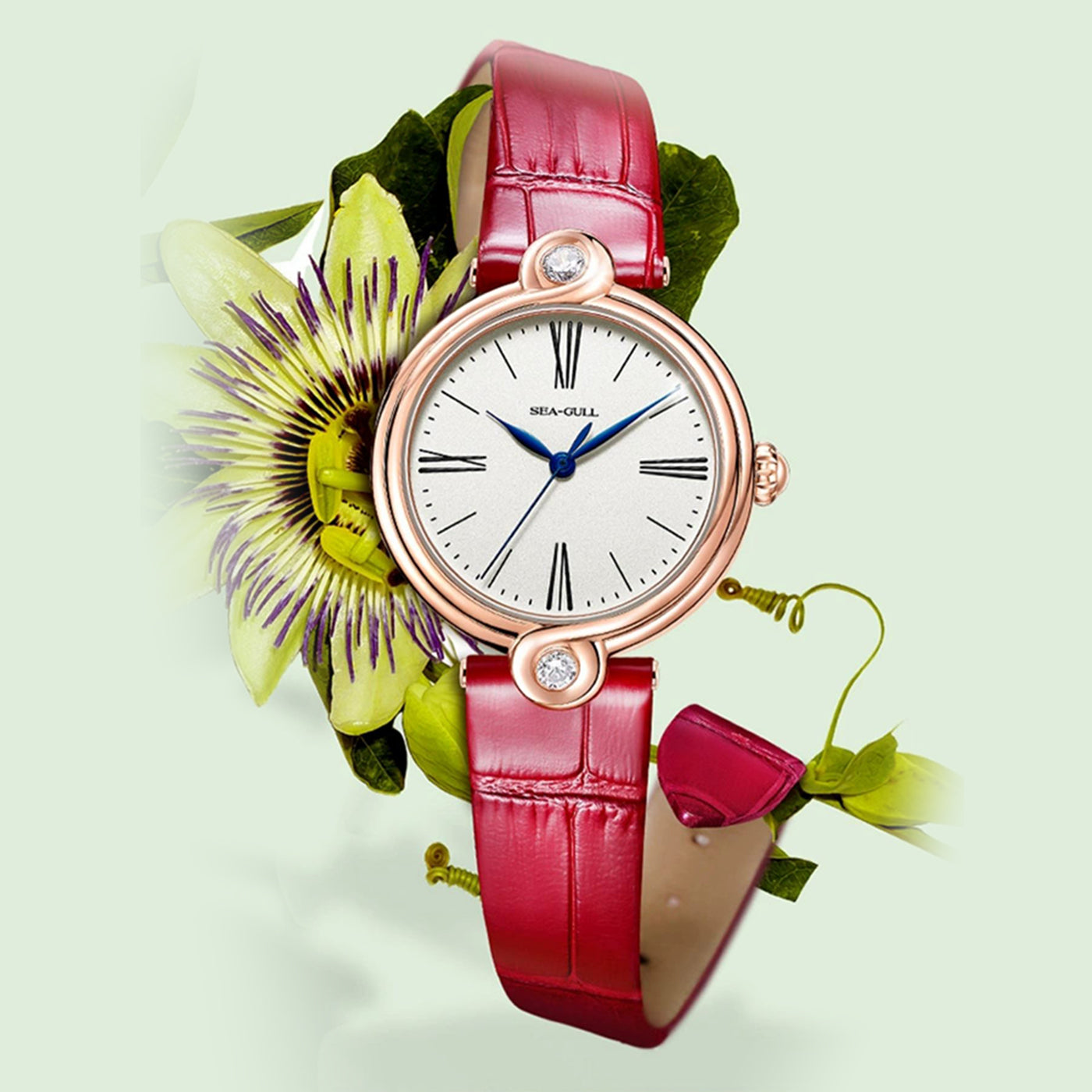 Seagull Infinity Series | Women's Elegant Watch with Zircon Stones