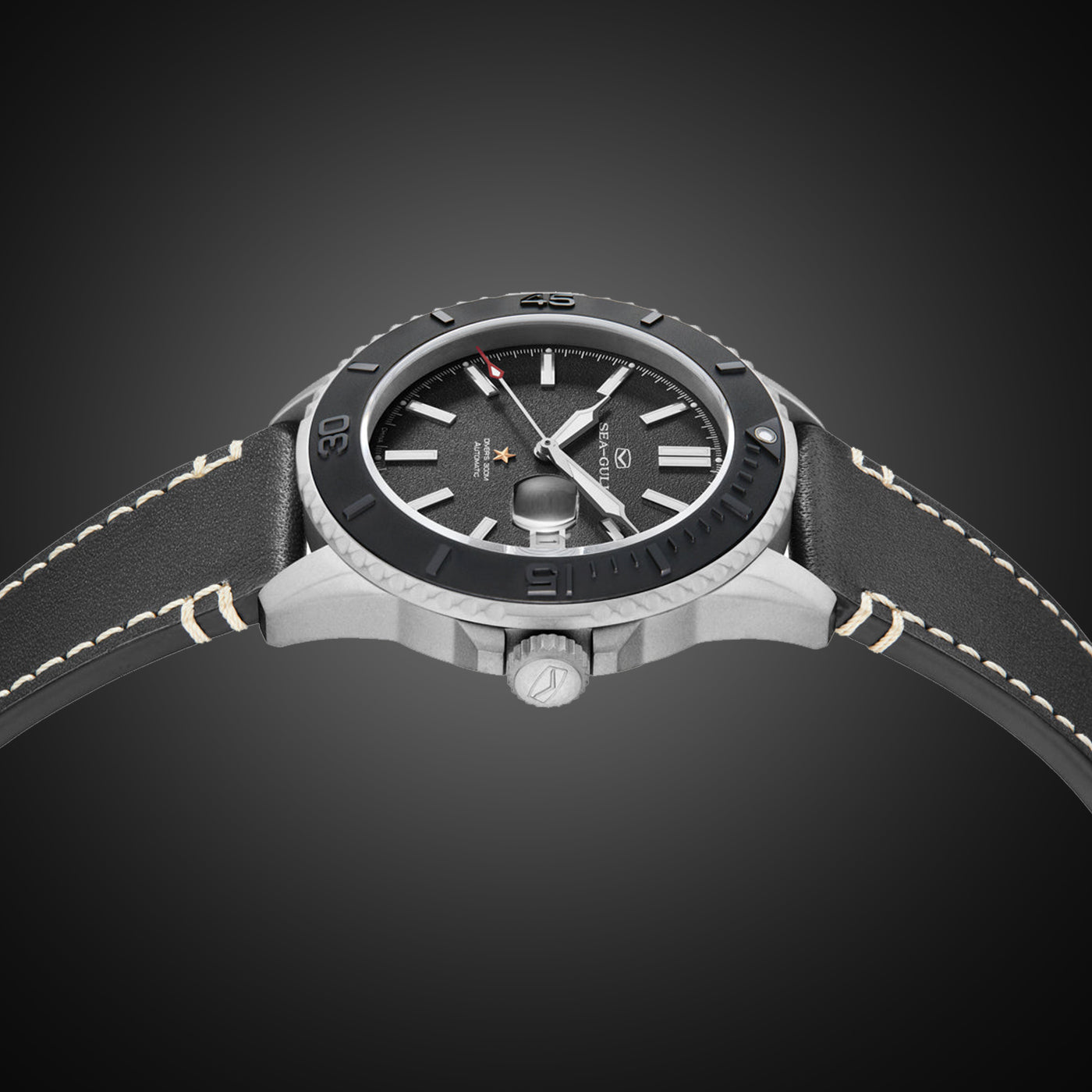 Ocean Series Pro 300m Waterproof Sandblasted Dial 3D Titanium Ceramic Bezel Diving Watch 43.5mm