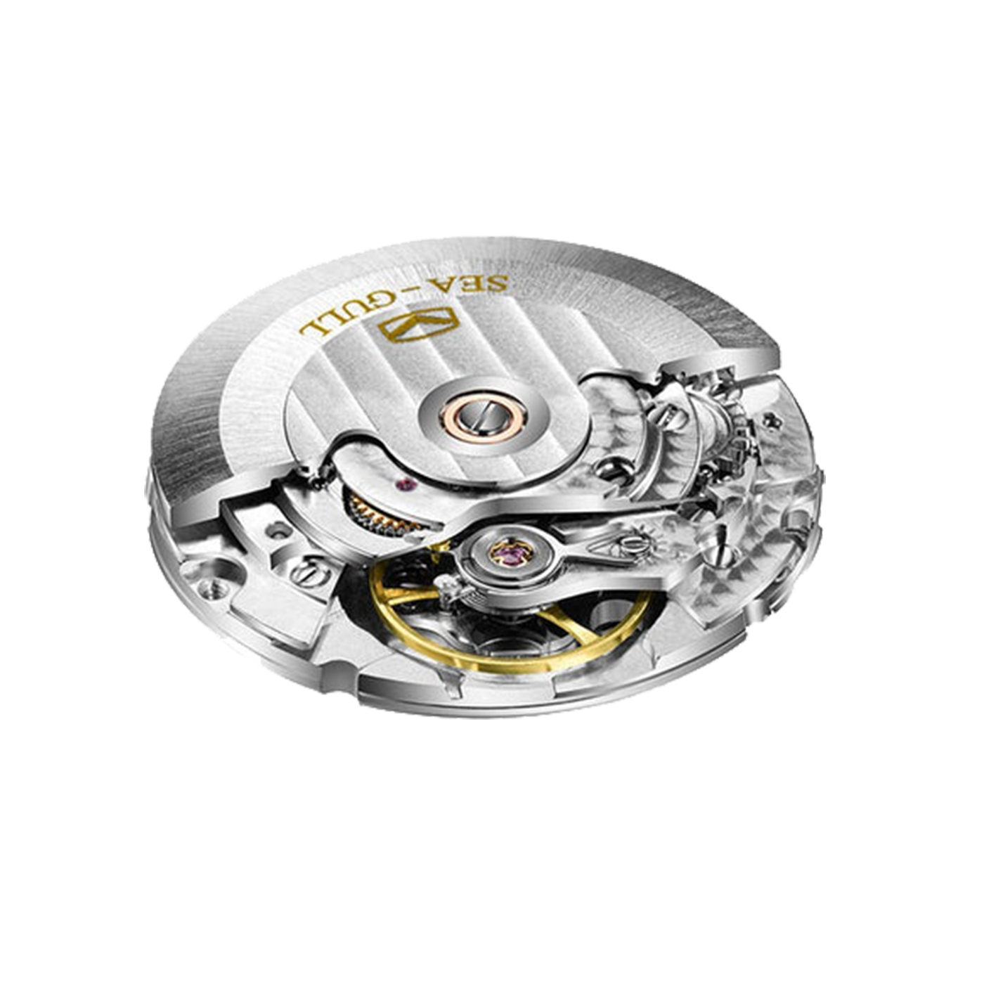 Sea-Gull Ocean Series: 200M Titanium Automatic Diver Watch – Vibrant Multi-Color Edition