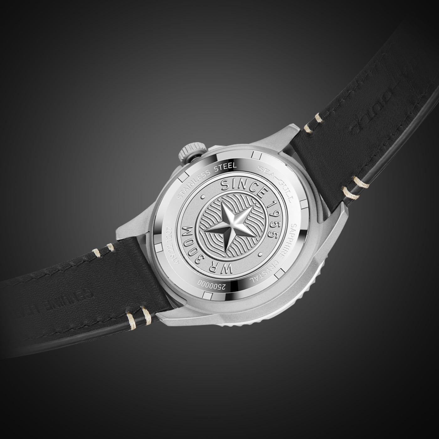 Ocean Series Pro 300m Waterproof Sandblasted Dial 3D Titanium Ceramic Bezel Diving Watch 43.5mm