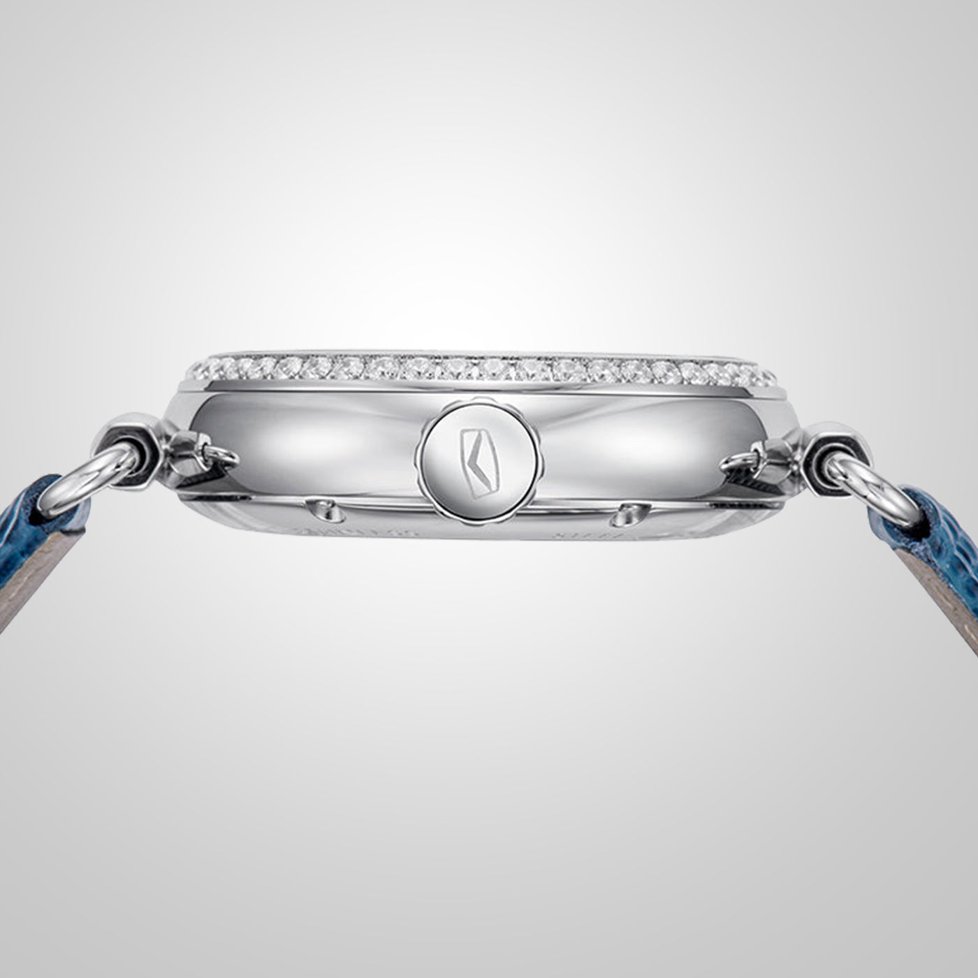 Seagull Ocean Series 300M Professional Diver – 8101L Automatic Mechanical Watch