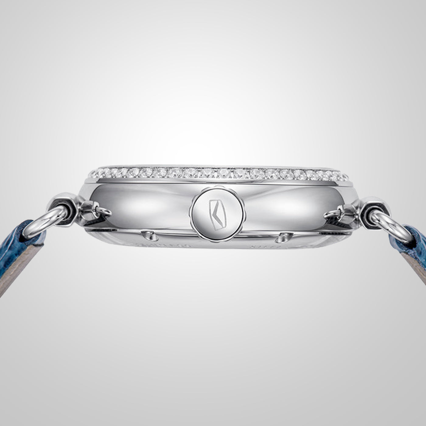 Seagull Ocean Series 300M Professional Diver – 8101L Automatic Mechanical Watch